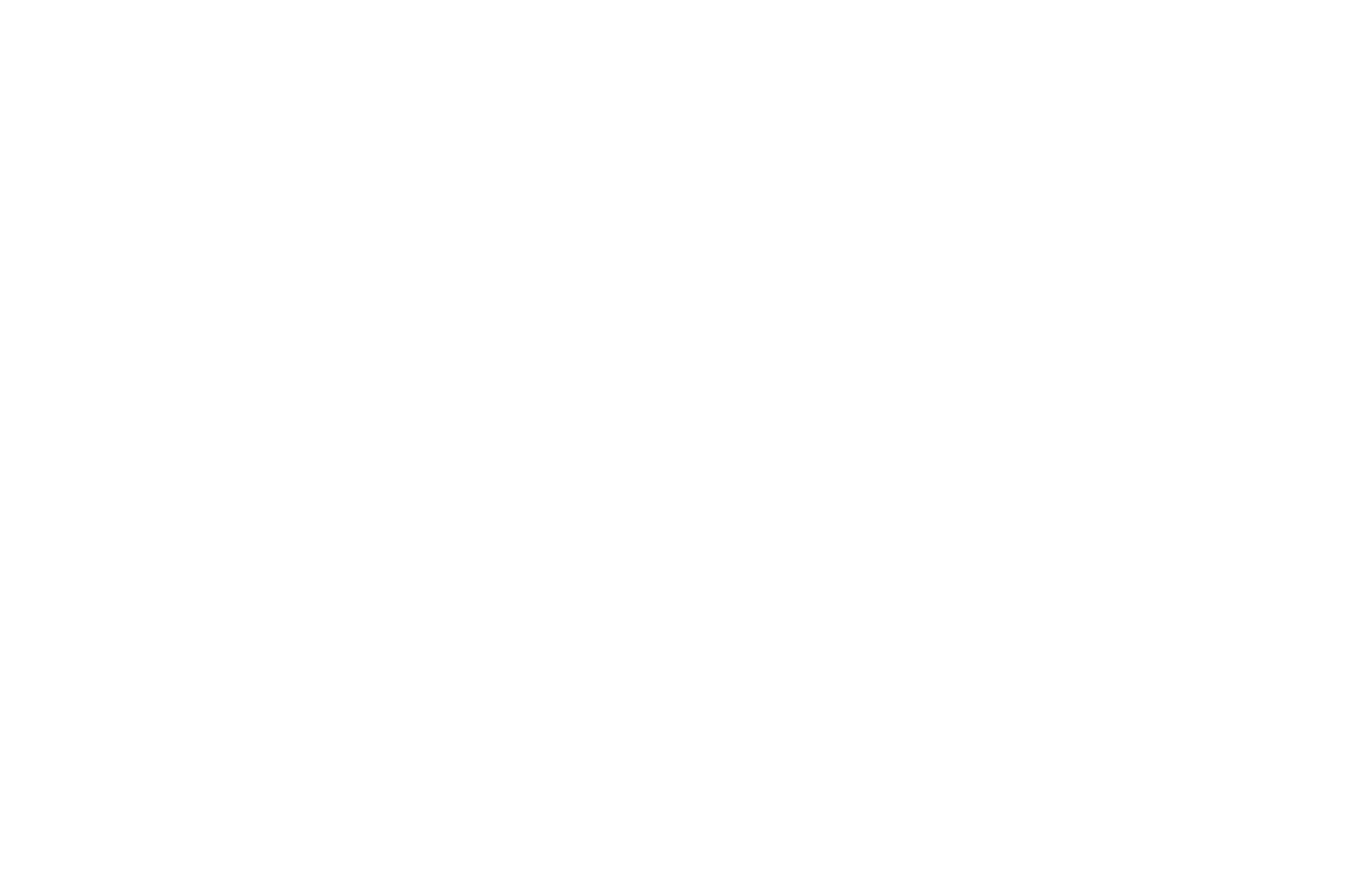 AnnRae Consulting, LLC